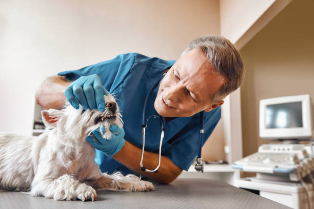 Best Emergency Tooth Extraction in Corning, NY